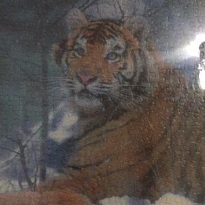 Meet your Posher, Cynthia